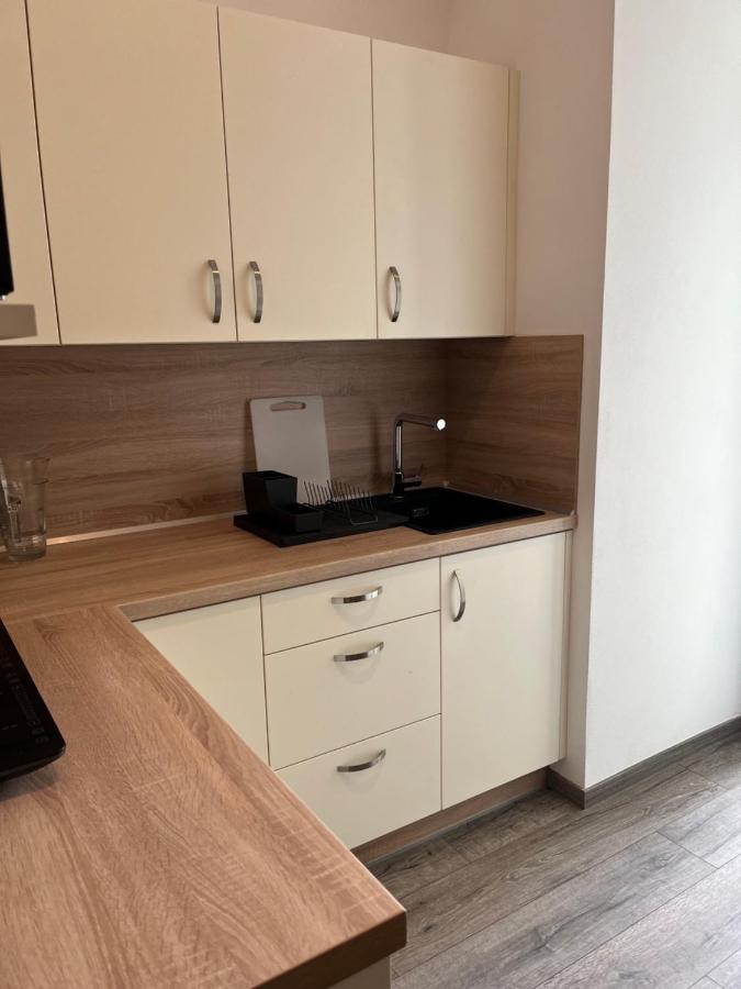 Moderni Apartman Uprostred Sumavske Prirody Zdikovec 외부 사진